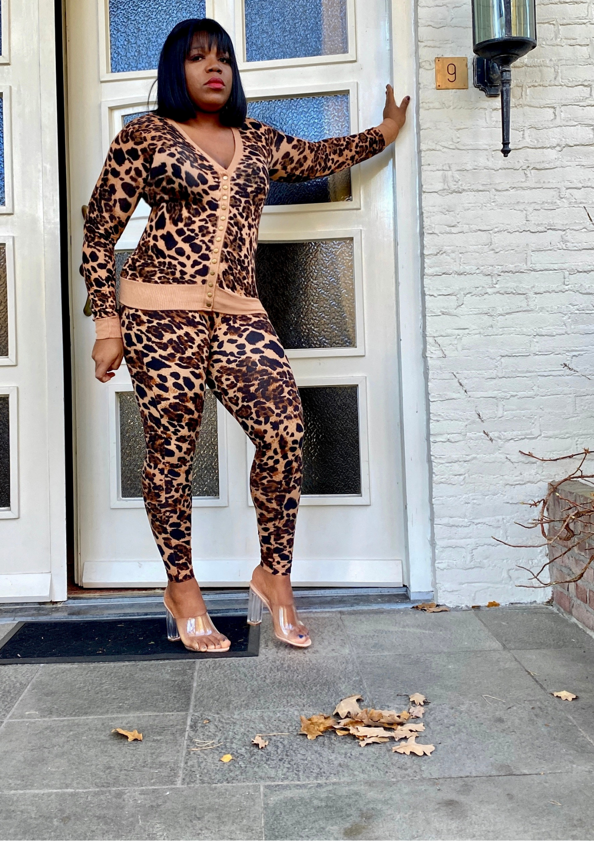 Leopard Safari Set
