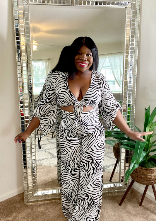 Safari Zebra Set