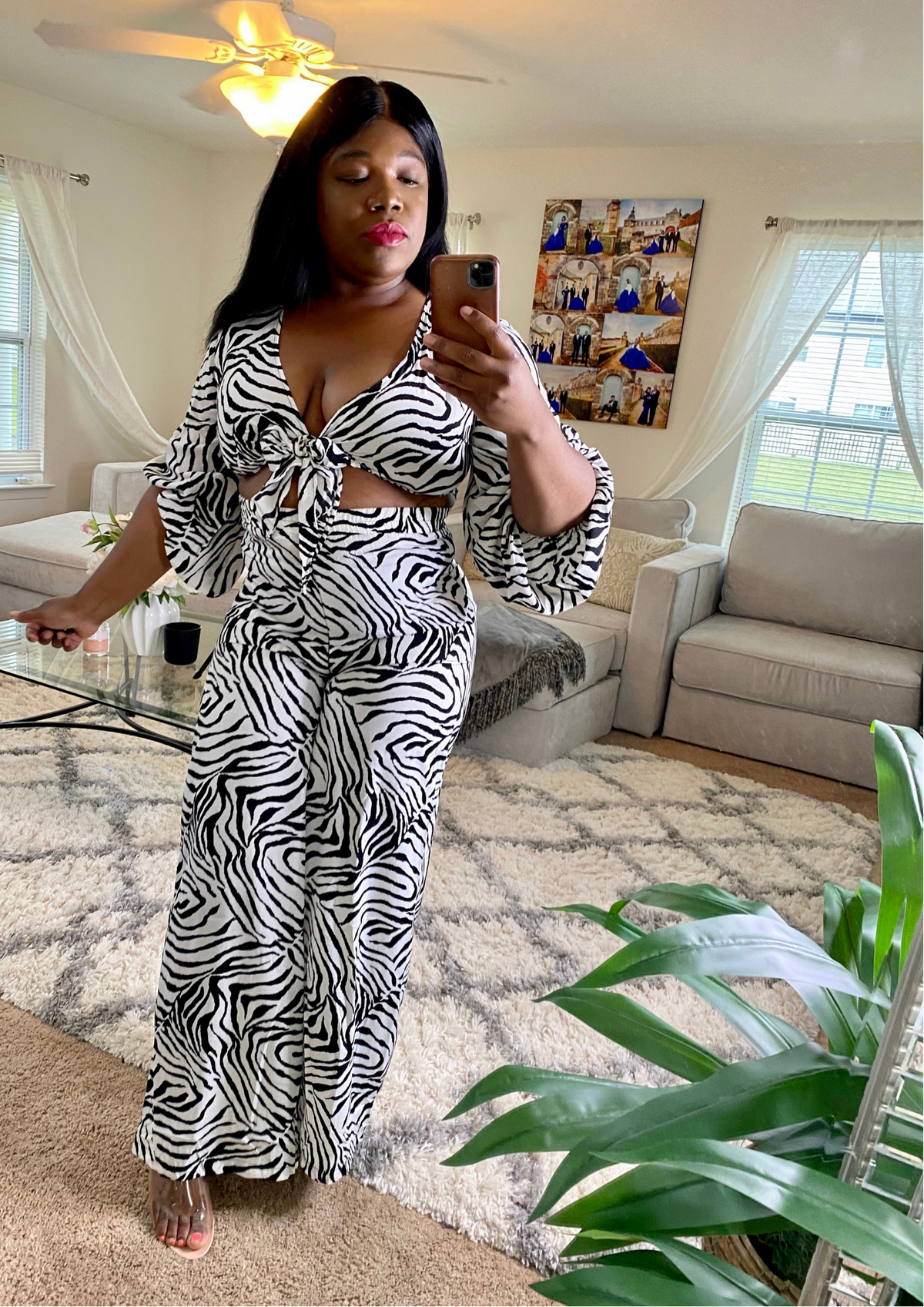 Safari Zebra Set