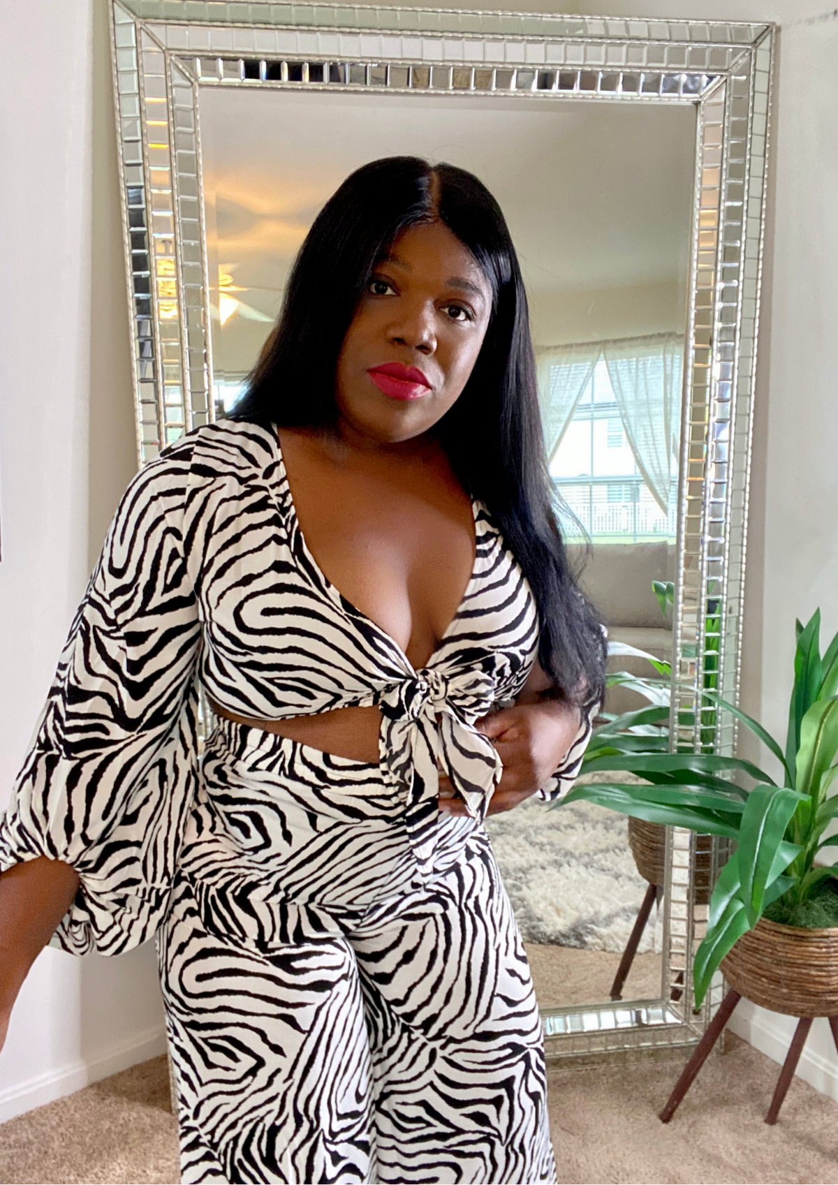Safari Zebra Set